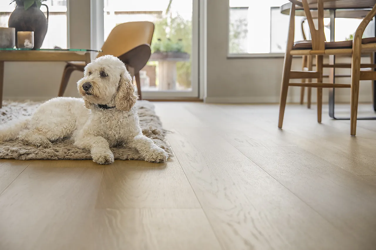 Gulv eik herdet matt lakk larvik XXL