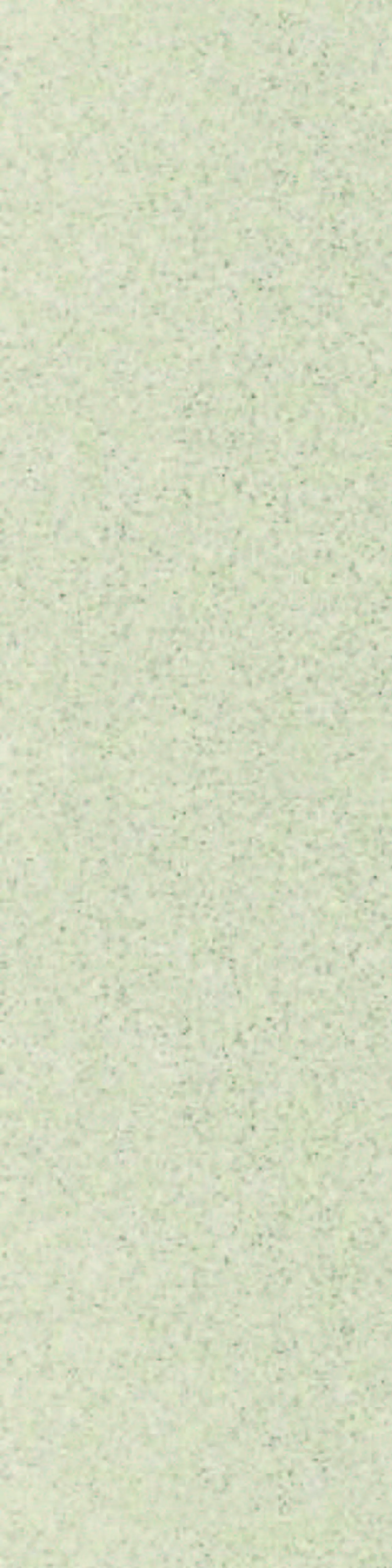 Panel 11x620x2390 mm Bianca Dust Panel 11x620x2390 mm Bianca Dust